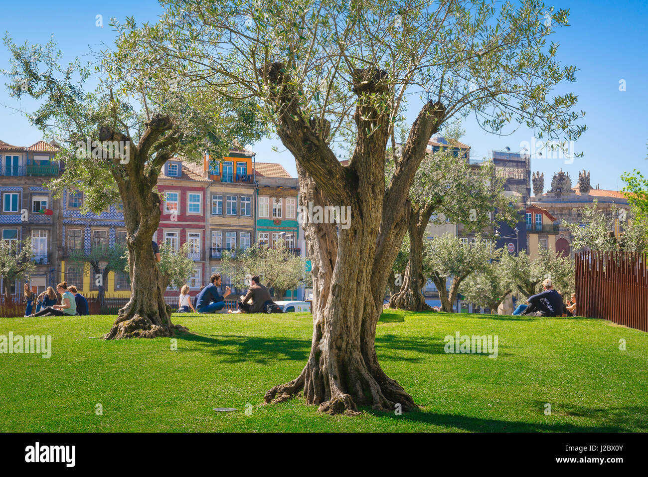 Porto Portugal Park, Blick auf Menschen, die sich an einem Sommernachmittag in der Praca dos Clerigos im Zentrum von Porto entspannen, Portrugal, Europa Stockfoto