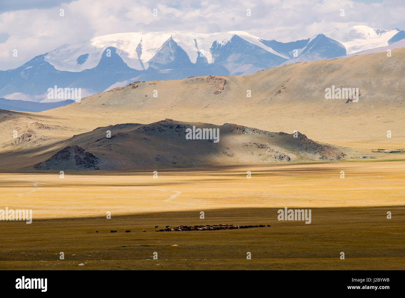 Asien, westlichen Mongolei, Khovd Provinz, Altan Hokhii, Berge, Wüste  Hochtal, Landschaft und Gelände Stockfotografie - Alamy