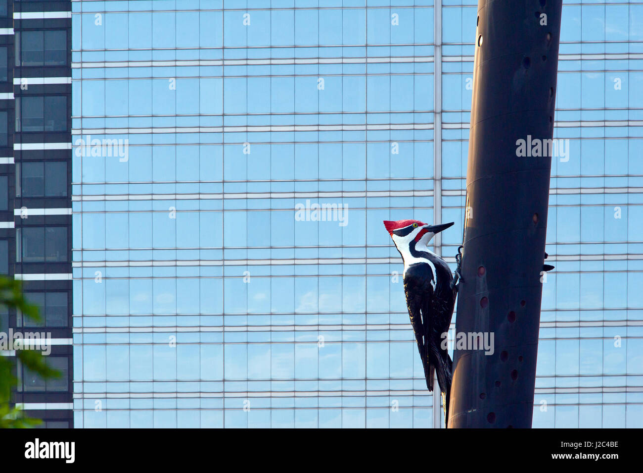 Beton und Glas Türme und moderne Skulptur in der Innenstadt von Toronto Stockfoto