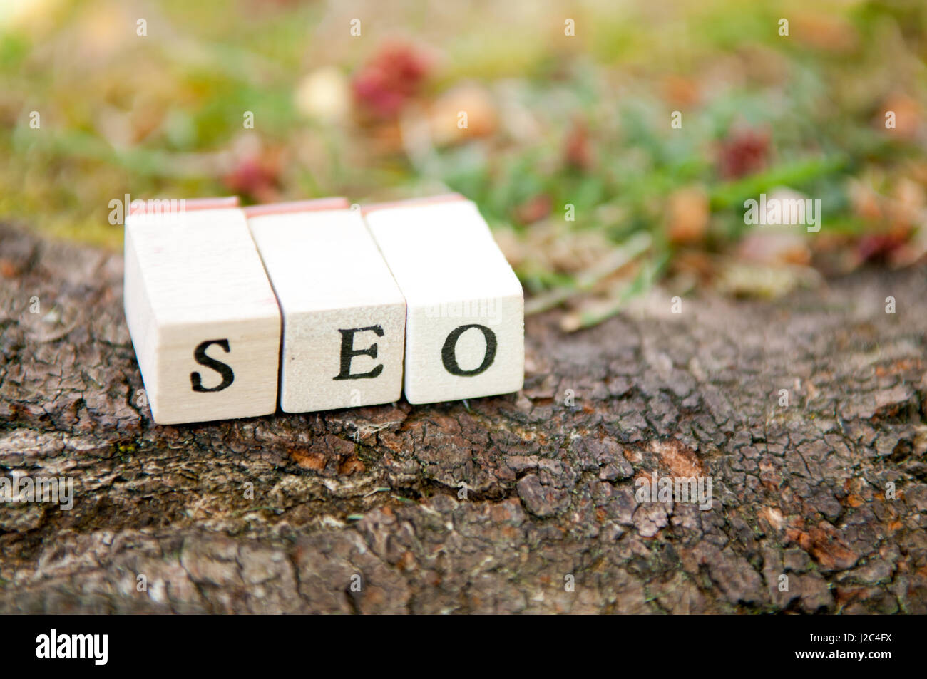 Organisches Wachstumskonzept für die Inbetriebnahme und small Business-online-marketing Stockfoto