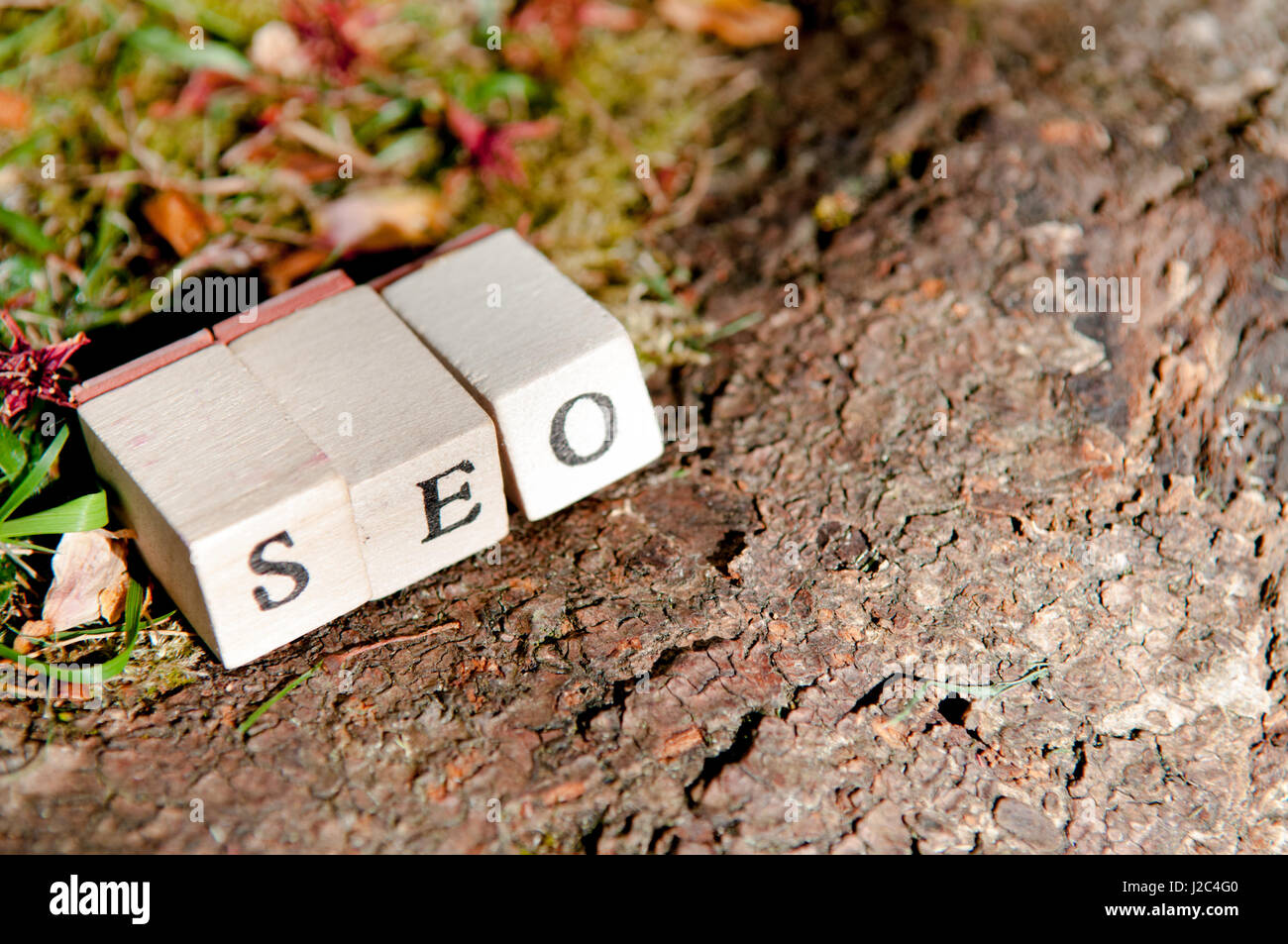 Organisches Wachstumskonzept für die Inbetriebnahme und small Business-online-marketing Stockfoto