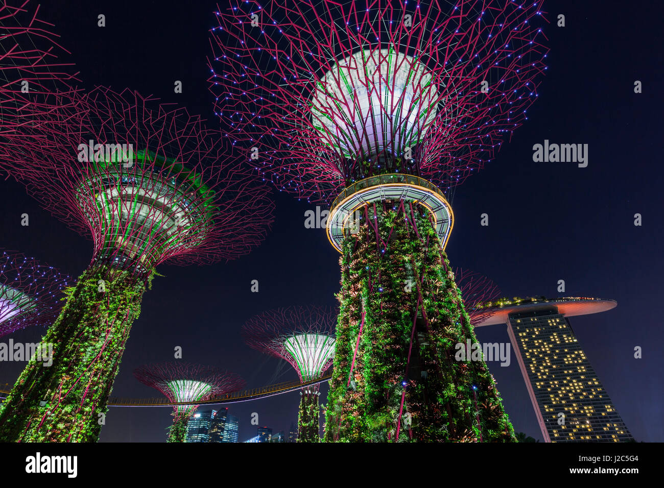 Gardens By The Bay, Super Baum Grove, Singapur und Marina Bay Sands Hotel, Dämmerung Stockfoto