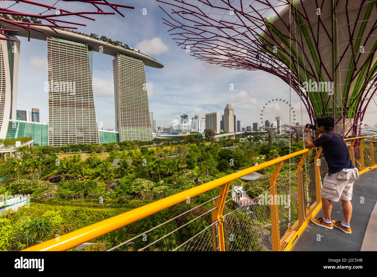 Singapur, Gardens By The Bay, Super Baum Grove, erhöhten Laufsteg-Ansicht mit der Marina Bay Sands Hotel Stockfoto