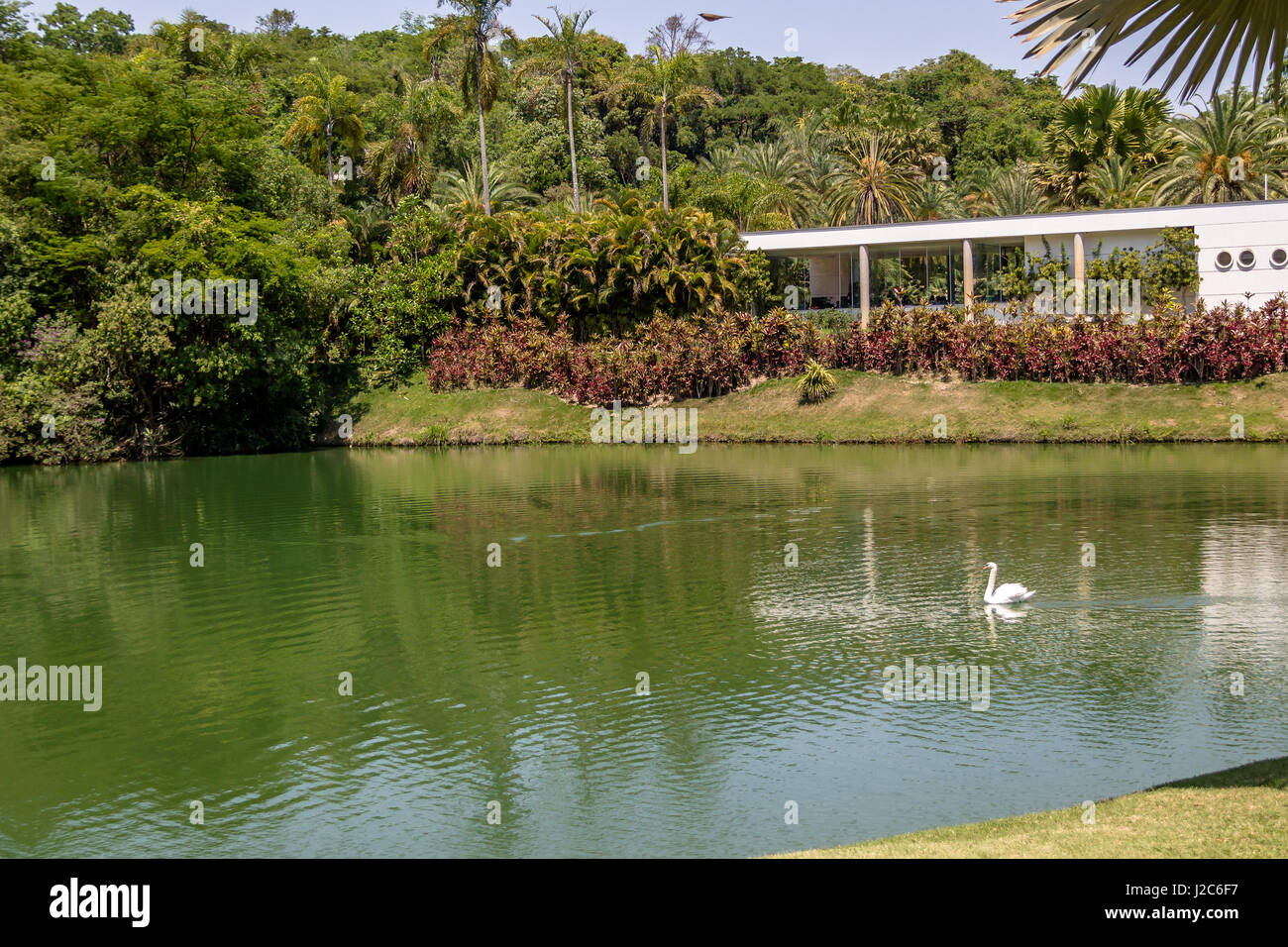 Blick auf den See bei Inhotim Public Museum für zeitgenössische Kunst - Brumadinho, Minas Gerais, Brasilien Stockfoto