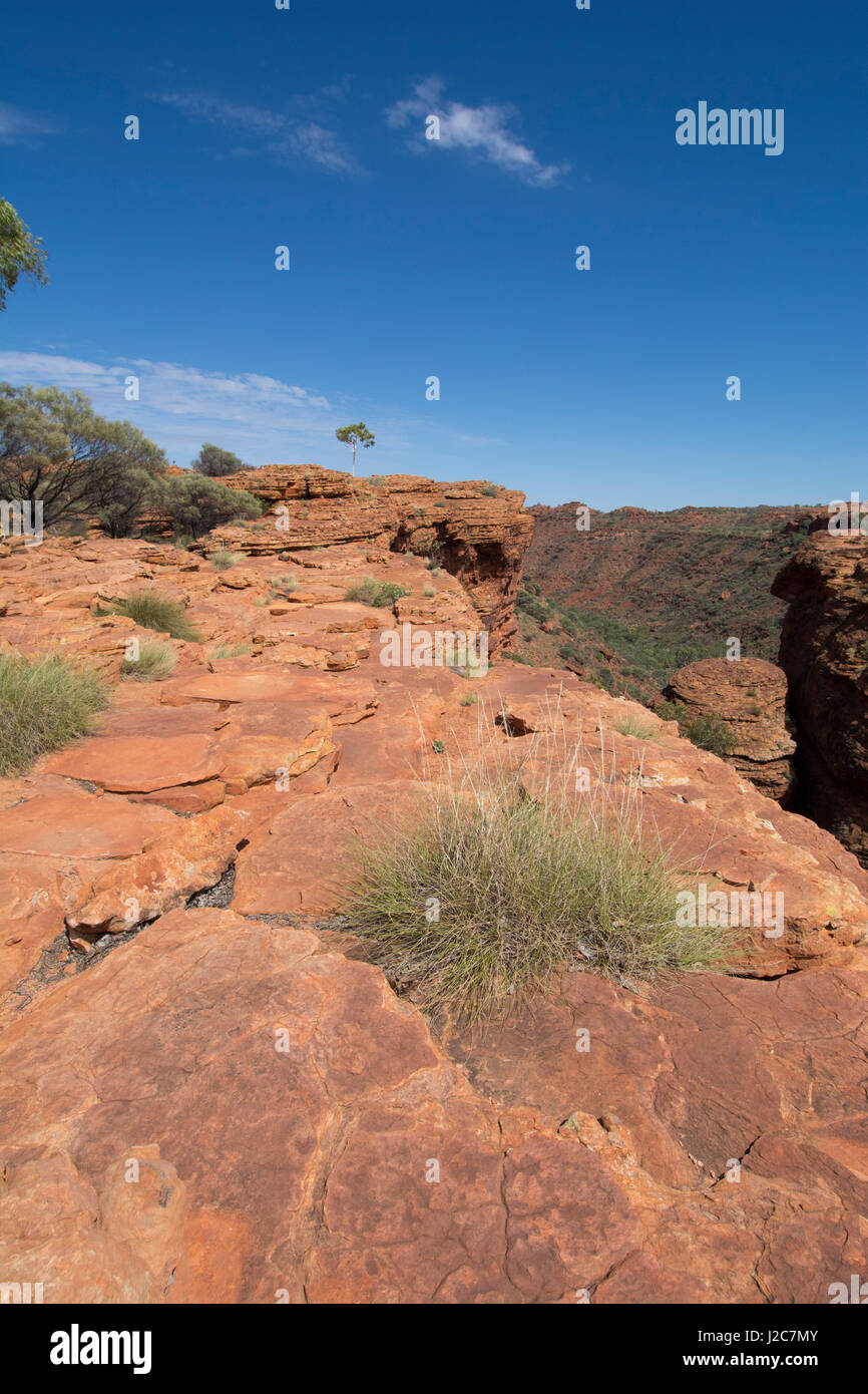 Australien, Watarrka National Park. Kings Canyon, Rim Walk. Rote Wüste Panoramablick entlang der Schluchtkante. Stockfoto