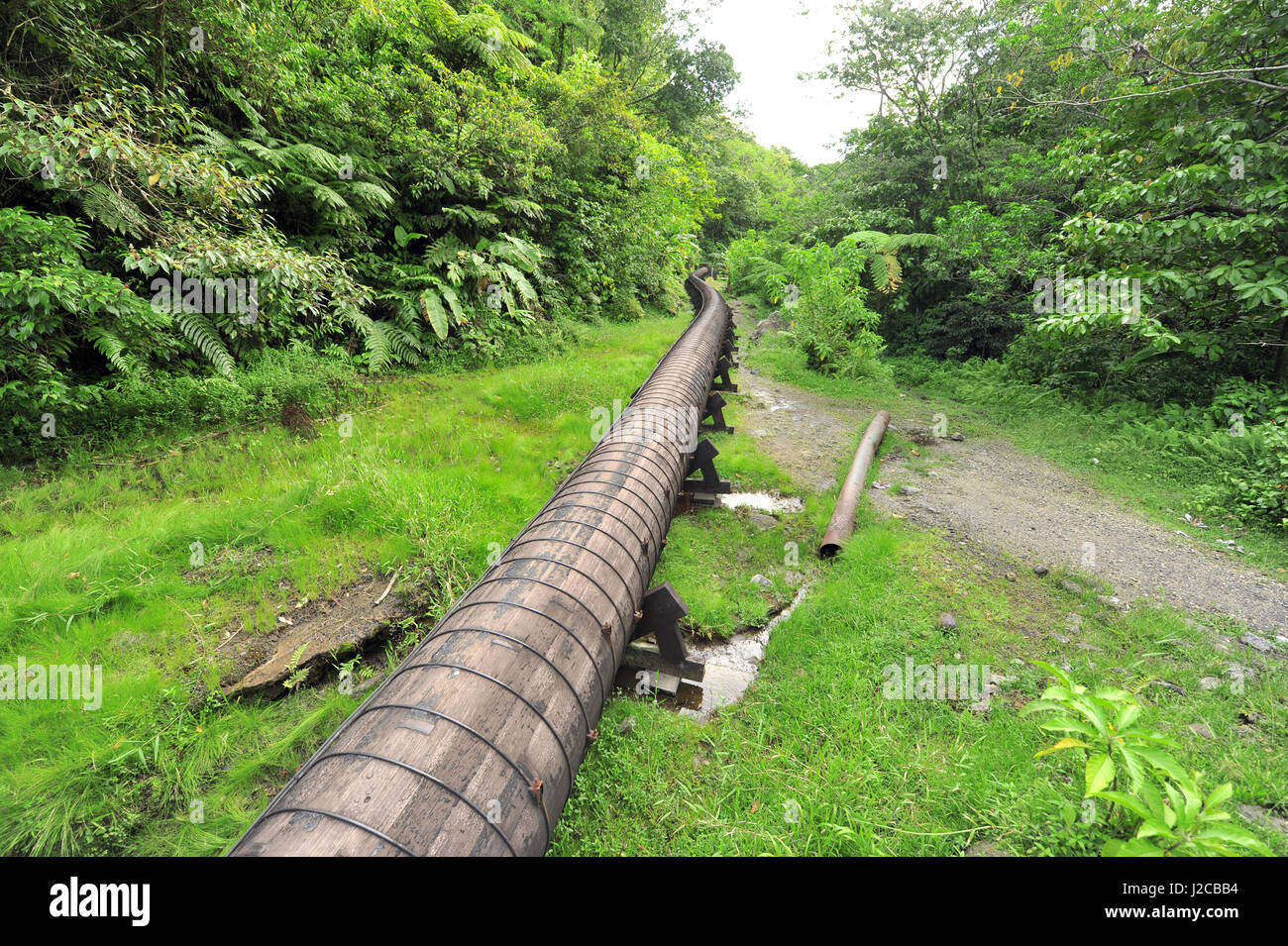Dominica, Morne Trois Pitons, Pipeline durch den Wald Stockfoto