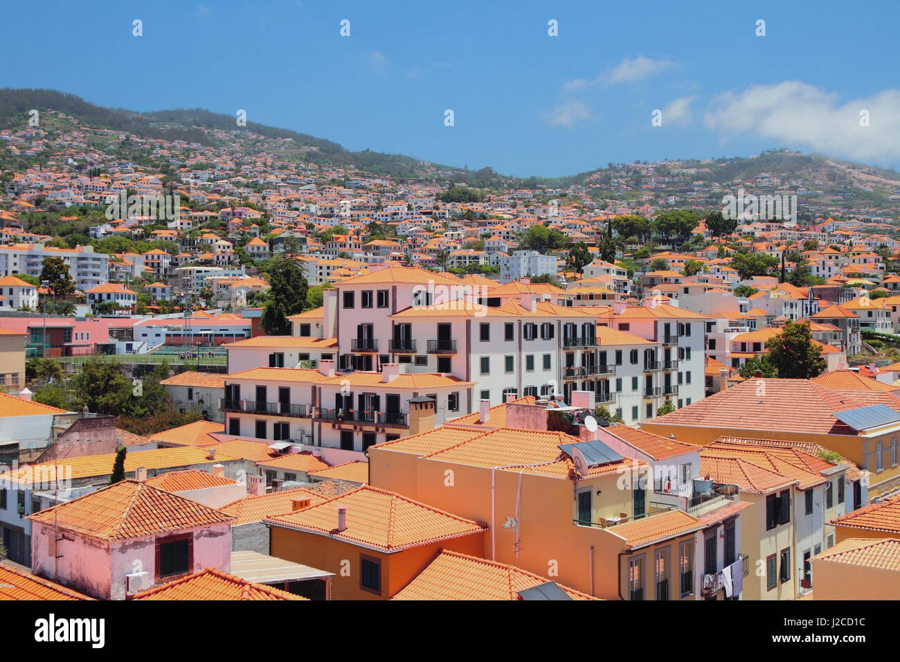 Stadt am Hang im sonnigen Tag. Funchal, Madeira, Portugal Stockfoto