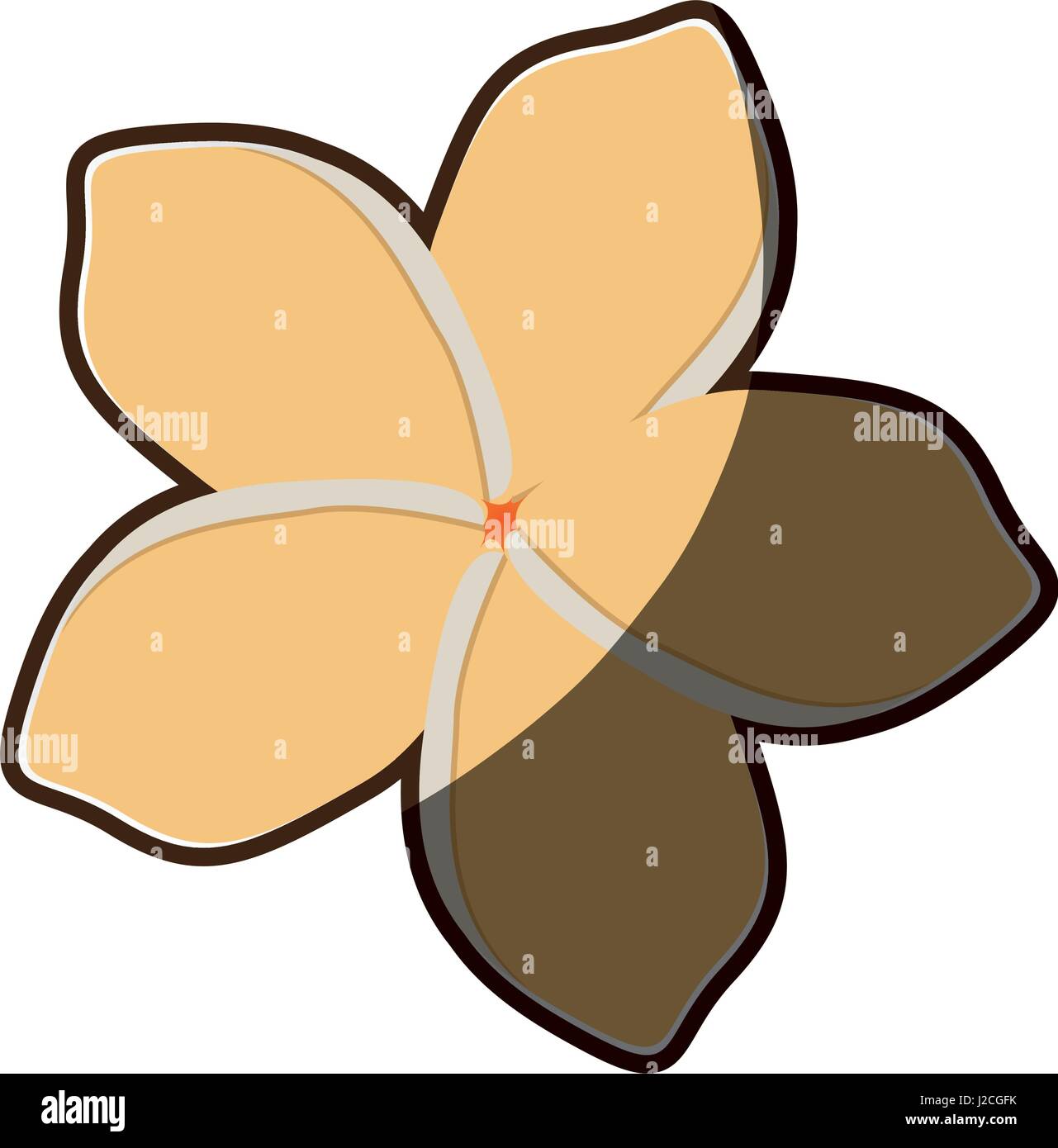 farbenfrohe Silhouette Schattierung des Chinesen stieg mit ovalen Blütenblätter Stock Vektor