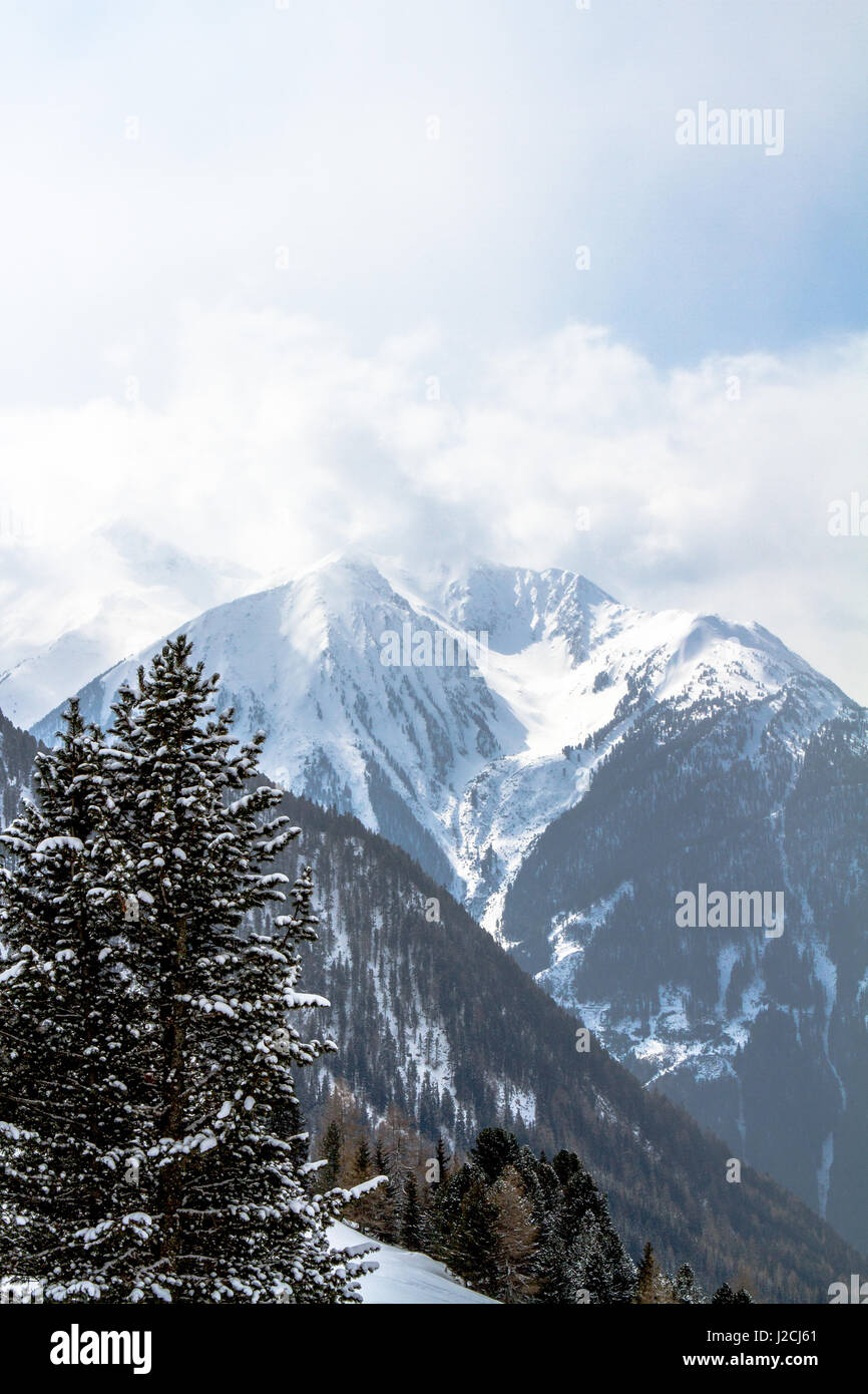 Österreich, Tirol, Jerzens, ski-Freizeit auf der Hochzeiger im Pitztal, Baum mit Bergen im Hintergrund, Abfahrt Hochzeiger Stockfoto