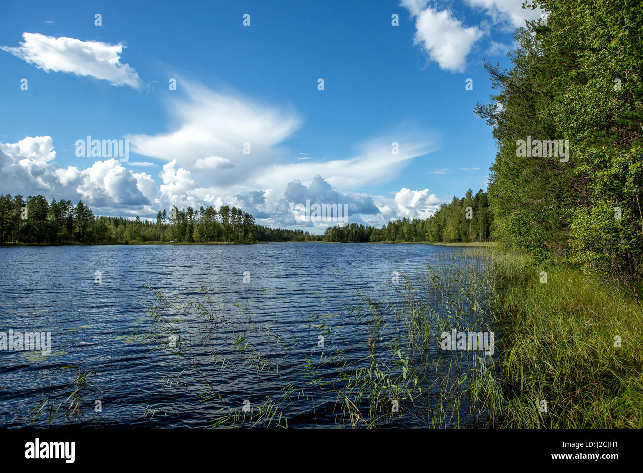 Finnland, 10 Tage in die Mökki, auf einer Insel Leben nur Ruderboot erreichbar. Ringelrobbe Nationalpark, einen schönen Blick entlang der Wasserkante Stockfoto