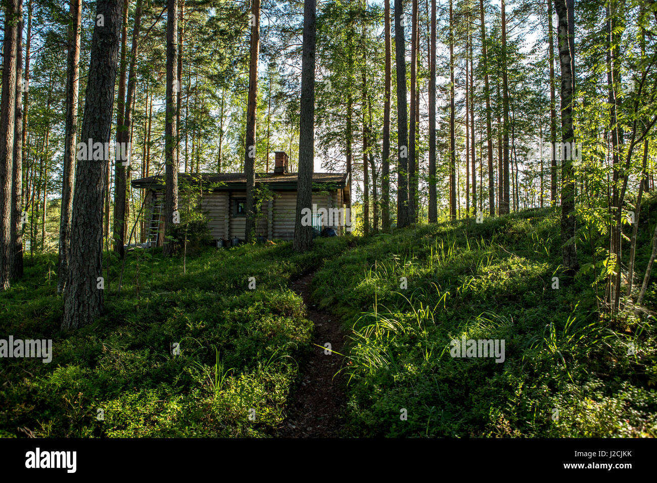 Finnland, 10 Tage in die Mökki, auf einer Insel Leben nur Ruderboot erreichbar. Ringelrobbe National Park, einer kleinen Holzhütte im Wald Stockfoto