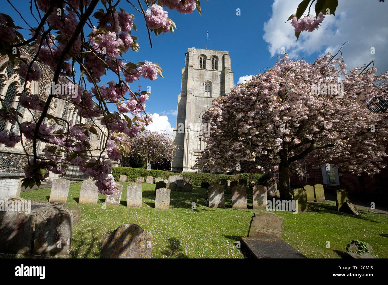 St. Michaels Kirche Beccles Suffolk England Stockfoto