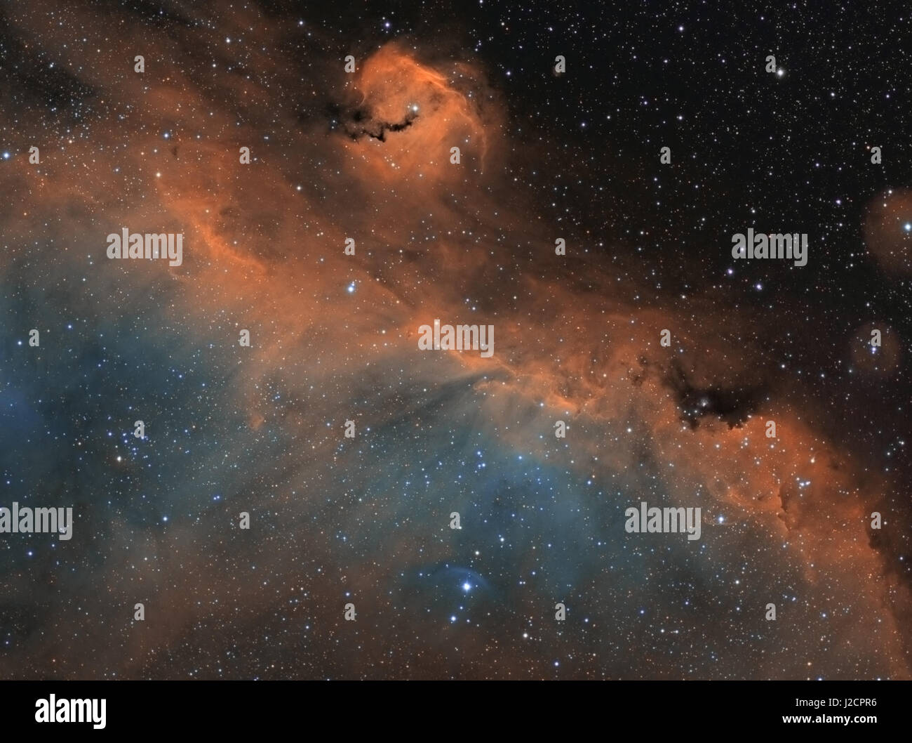 Die Möwe-Nebel (IC 2177) ist eine Region von Nebel, die entlang der Grenze zwischen den Sternbildern Monoceros und Canis Major liegt. Stockfoto