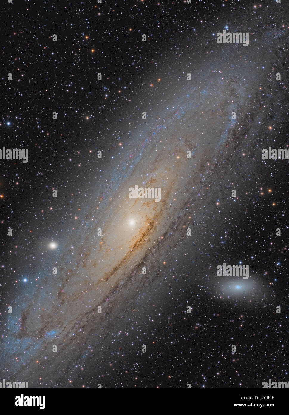 Die große Galaxie Andromeda, Messier 31 (M31, NGC 224) - eine Spiralgalaxie im Sternbild Andromeda - M32 und M110 sind ebenfalls sichtbar. Stockfoto