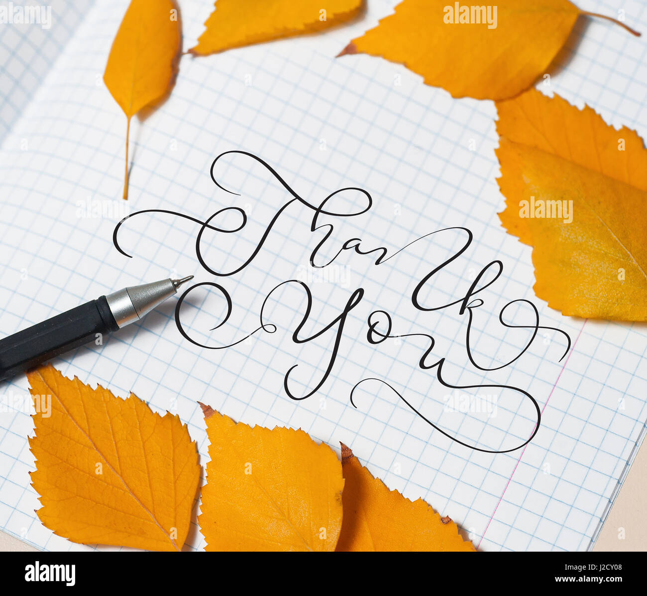 Gelbe Blätter und einen Stift auf einem Blatt Papier und Text, vielen Dank. Kalligraphie-Schriftzug Hand zeichnen Stockfoto