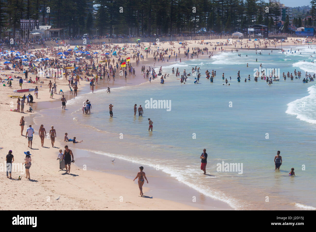 Australien, Sydney Manly Beach, erhöht, Ansicht Stockfoto