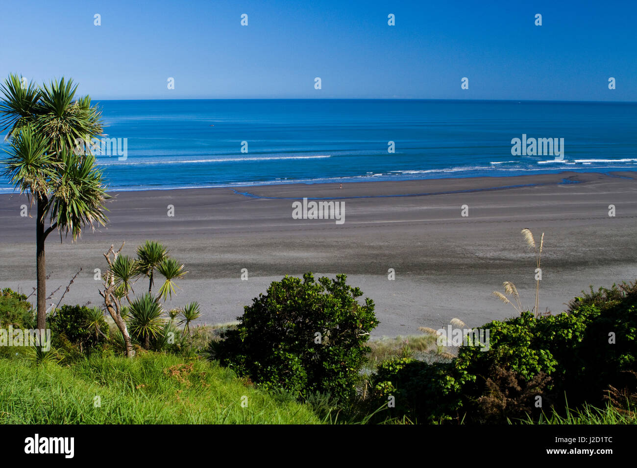 Mit Blick auf die Brandung brechen auf Whale Bay und Manu Bay in Raglan, Neuseeland. Stockfoto