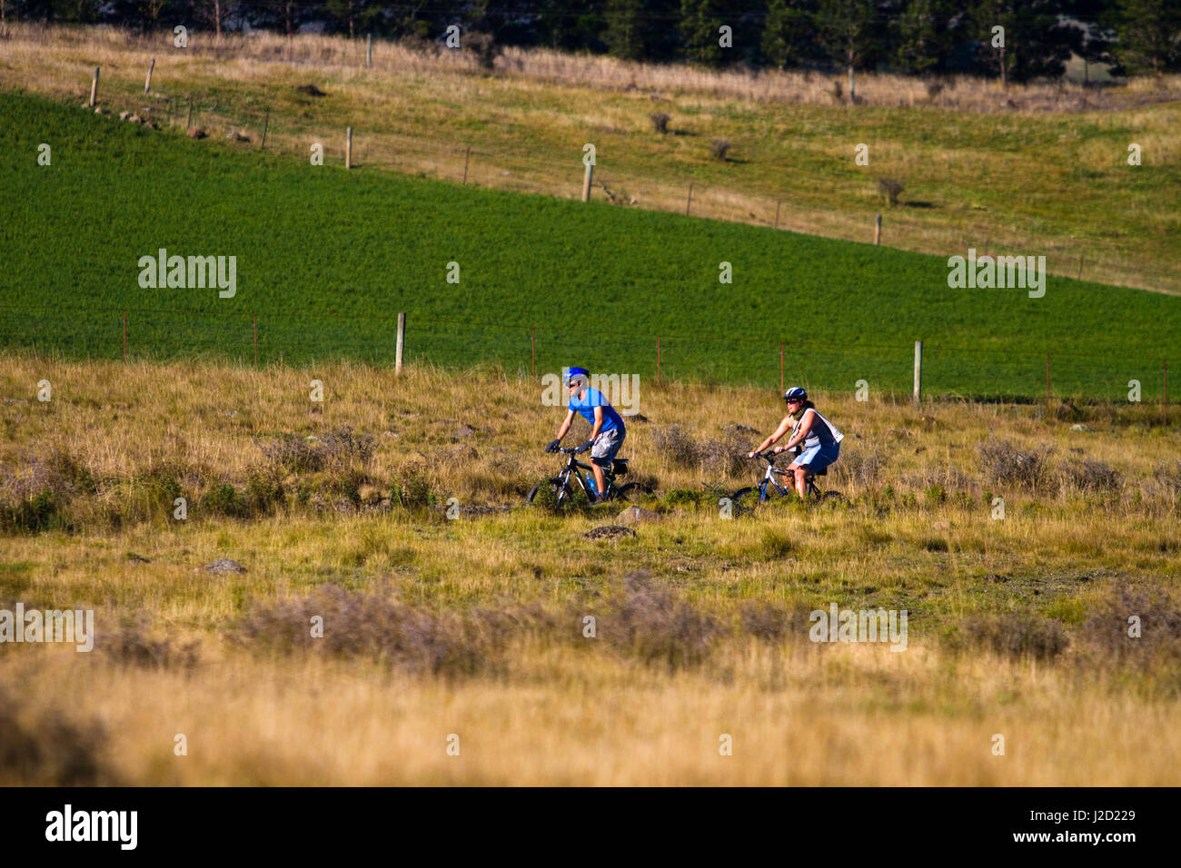 Die Otago Central Rail Trail ist eine Region, die berühmt für seine Goldminen Geschichte New Zealand. (MR) Stockfoto