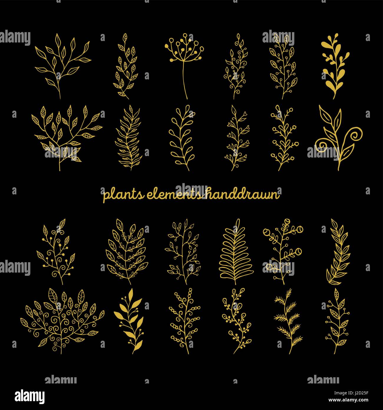 Rustikale Zierpflanzen Sammlung. Handgezeichnete Vektor-Design-Elemente. Stock Vektor