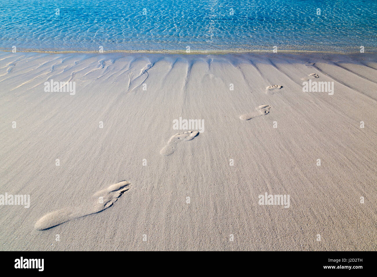 Bahamas, Exuma Island, Cays Land und Meer Park. Sand Fußspuren. Kredit als: Don Paulson / Jaynes Galerie / DanitaDelimont.com Stockfoto