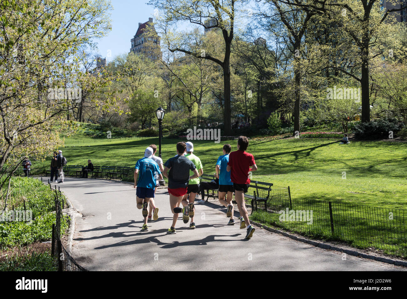 Gruppe von männlichen Läufer Training im Central Park im Frühling, New York City, USA Stockfoto