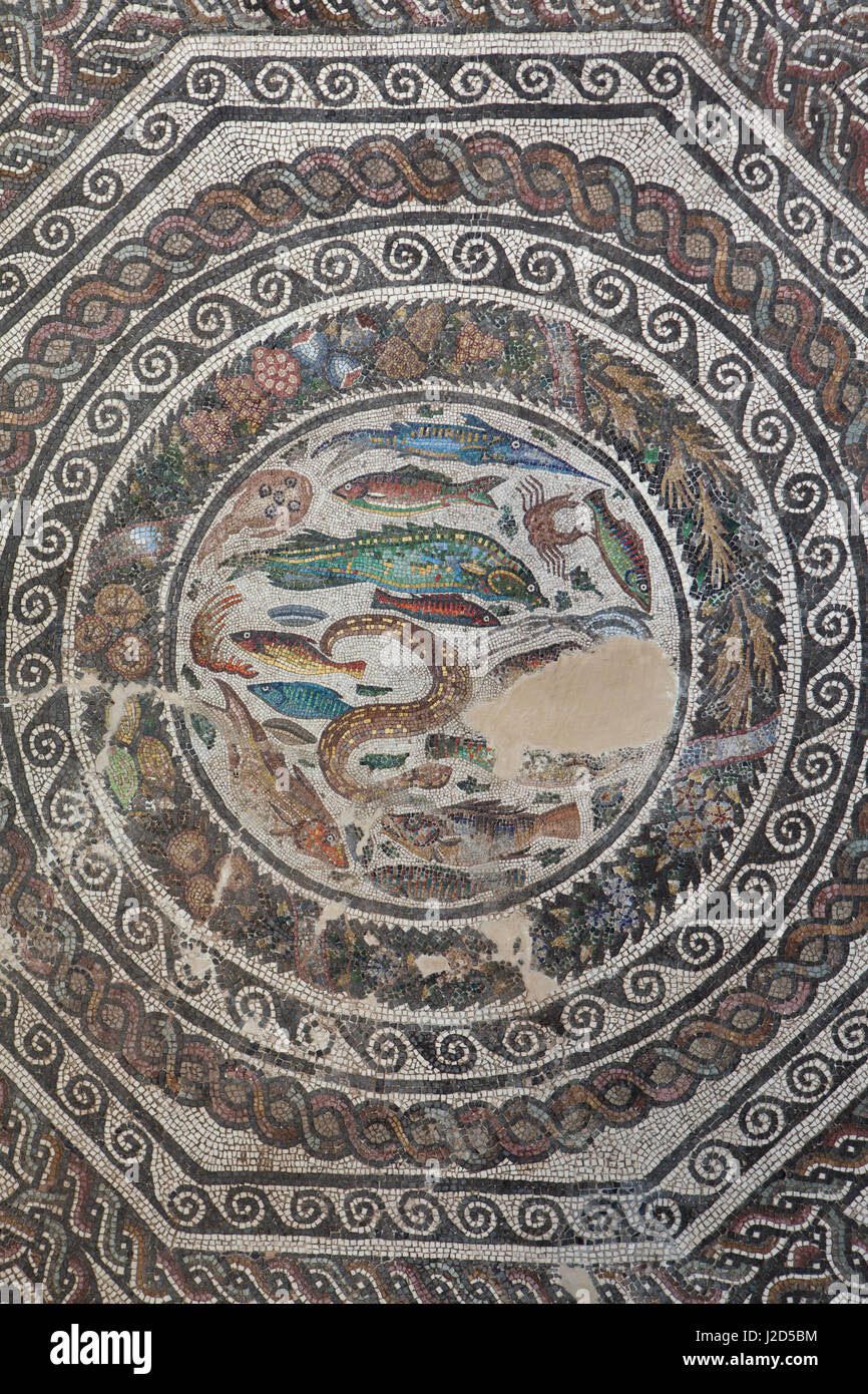 Meer Fische und Krebstiere in der römischen Mosaik aus dem 3. Jahrhundert AD dargestellt angezeigt im Museo de Santa Cruz (Santa Cruz Museum) in Toledo, Spanien. Stockfoto