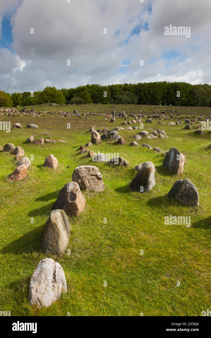 Dänemark, Jütland, Aalborg-Lindholm, Lindholm Hoje, Viking Gräberfeld Stockfoto