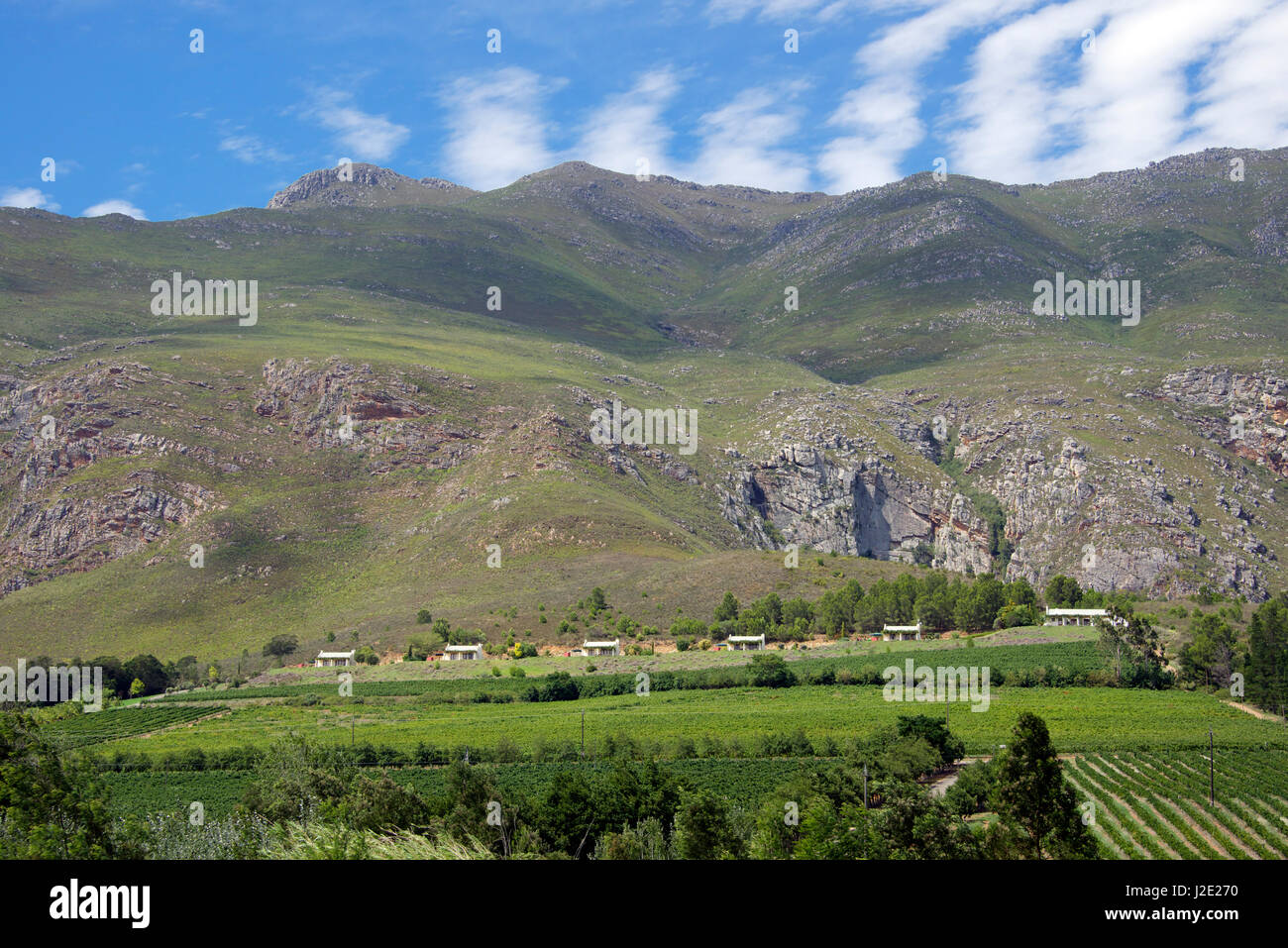 Bushmanspad Wine Estate in der Nähe von Swellendam Overberg Western Cape Südafrika Stockfoto