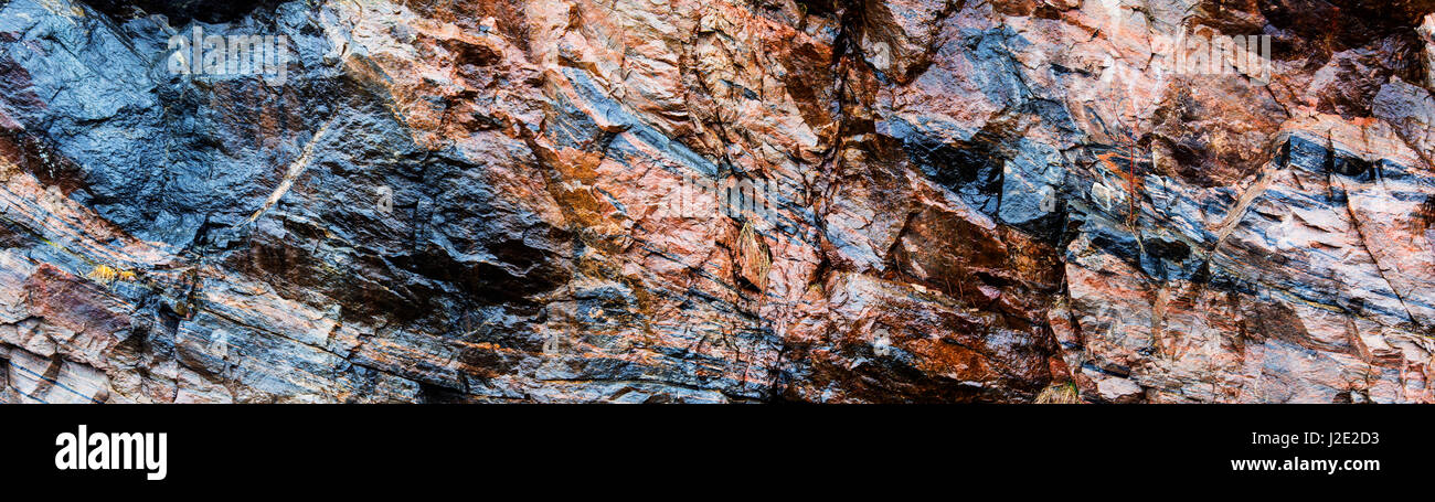 Nassen Stein Naturstein Wand, kanadischer Schild Algonquin Provincial Park Ontario Kanada. Panorama-Ansicht Stockfoto