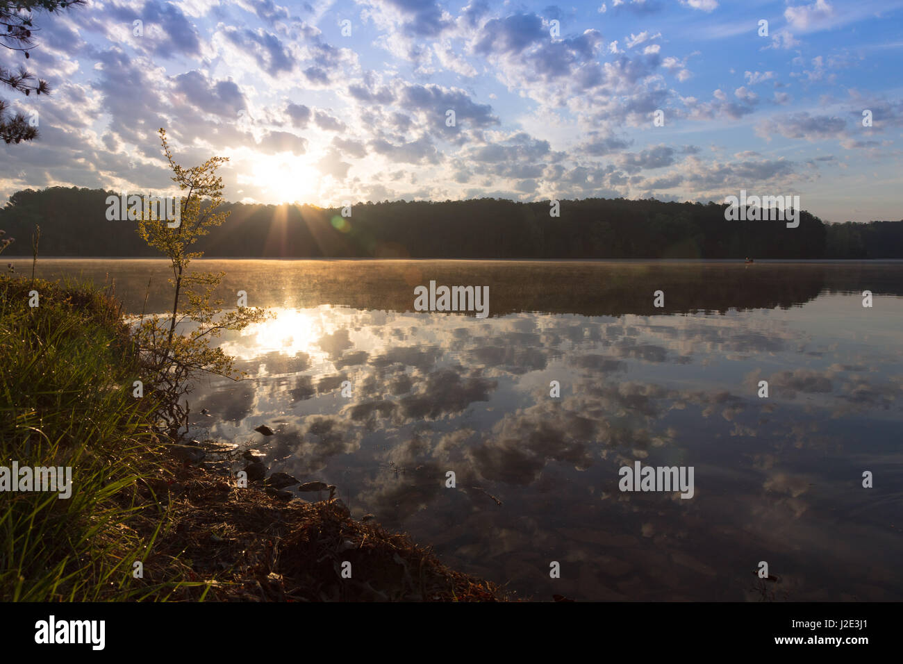 Sonnenaufgang über dem Pin Oak Lake im Natchez Trace State Park, Pin Oak Lodge Stockfoto