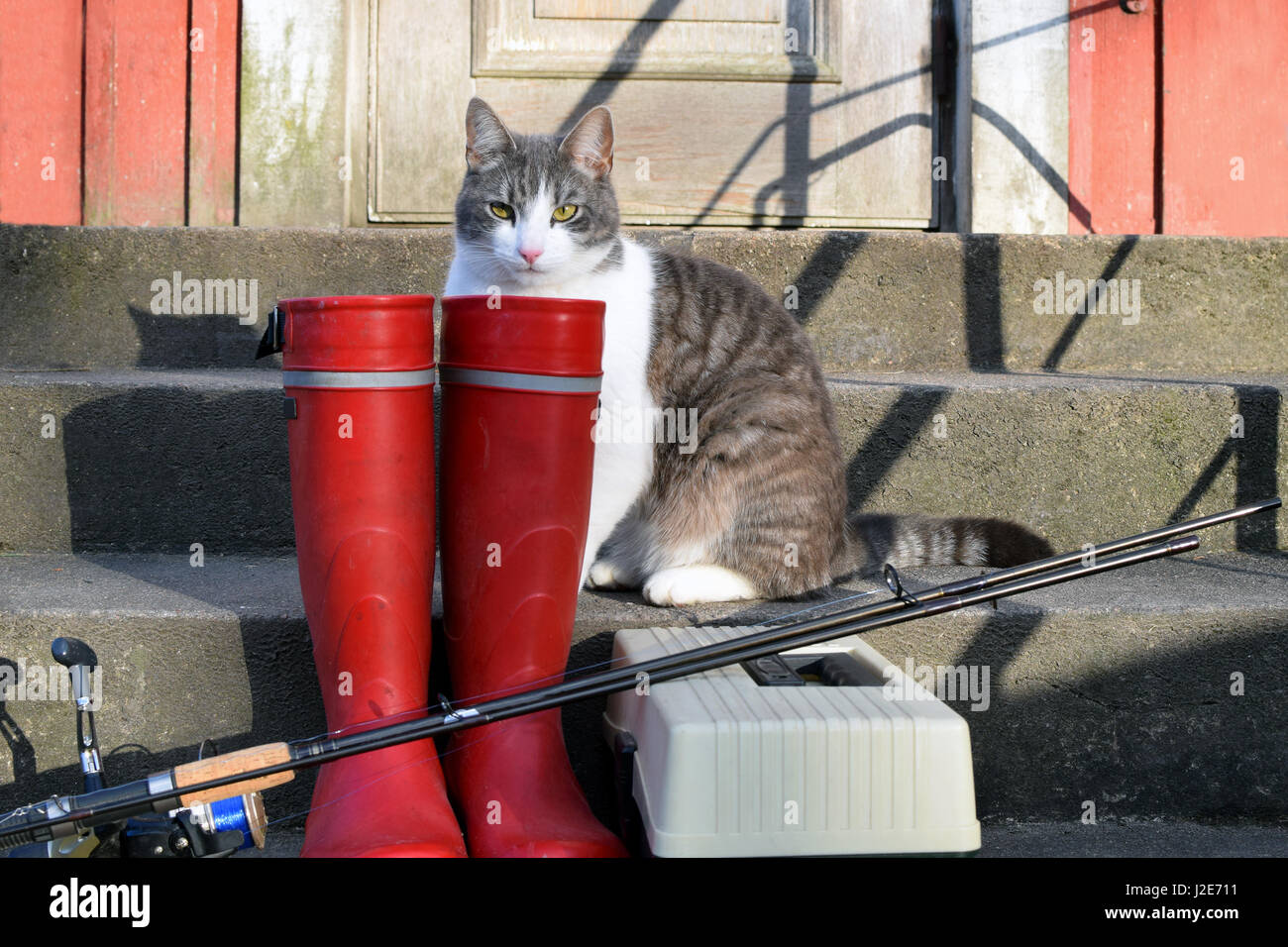 Angelrolle, rote Gummistiefel und Tackle Box auf Treppen. Katze ist warten Fisch aus Angelausflug. Stockfoto