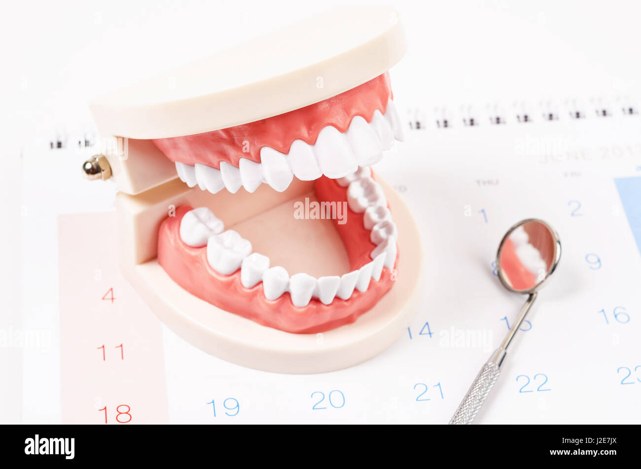 Weiße Zähne-Modell und Dentalinstrumente auf Kalender Seitenhintergrund.  Termin beim Zahnarzt Konzept. Stockfoto