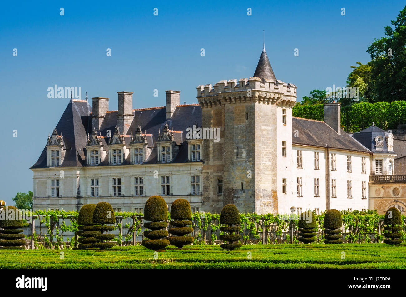 Chateau de Villandry und Gärten, Villandry, Loiretal, Frankreich Stockfoto