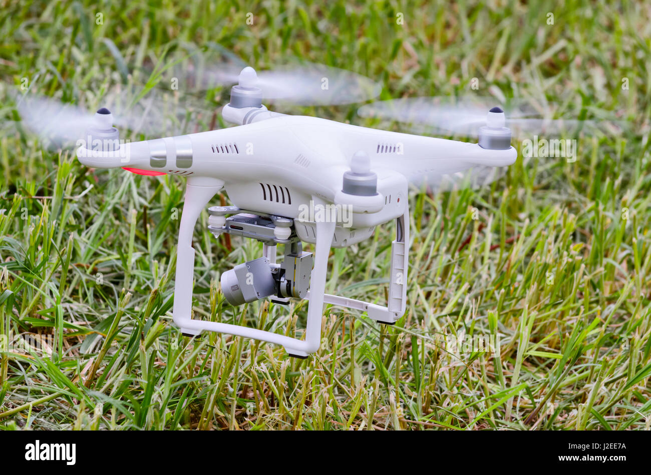 Drohne fliegt über den Rasen Stockfoto