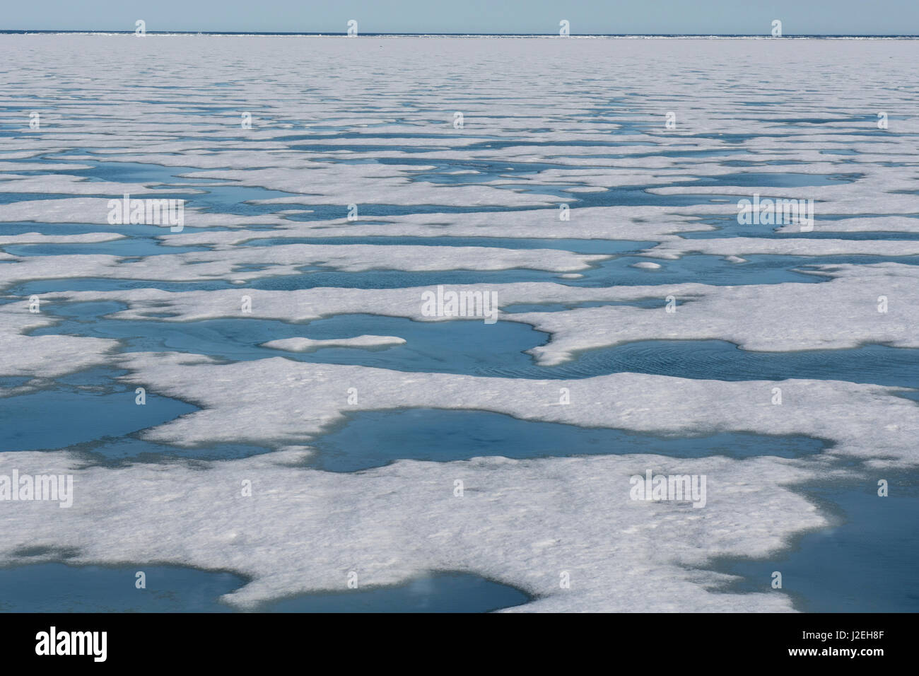 Norwegen, Barents-See, Svalbard, Sjuoyane, sieben Inseln. Nordost-Svalbard-Naturreservat. Packeis. Stockfoto