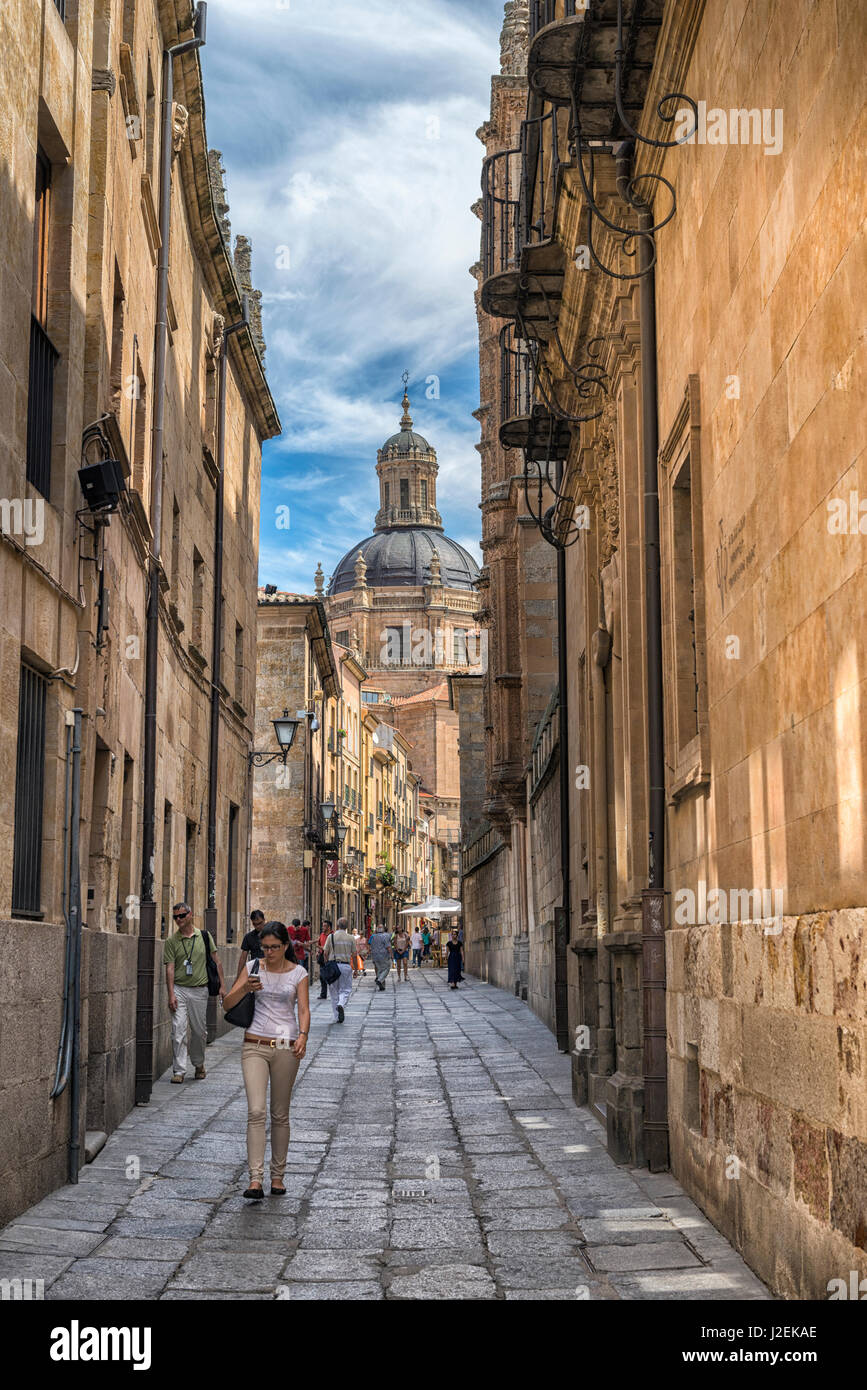 Spanien, Salamanca, Fußgängerzone mit Blick auf den Dom (großformatige Größen erhältlich) Stockfoto
