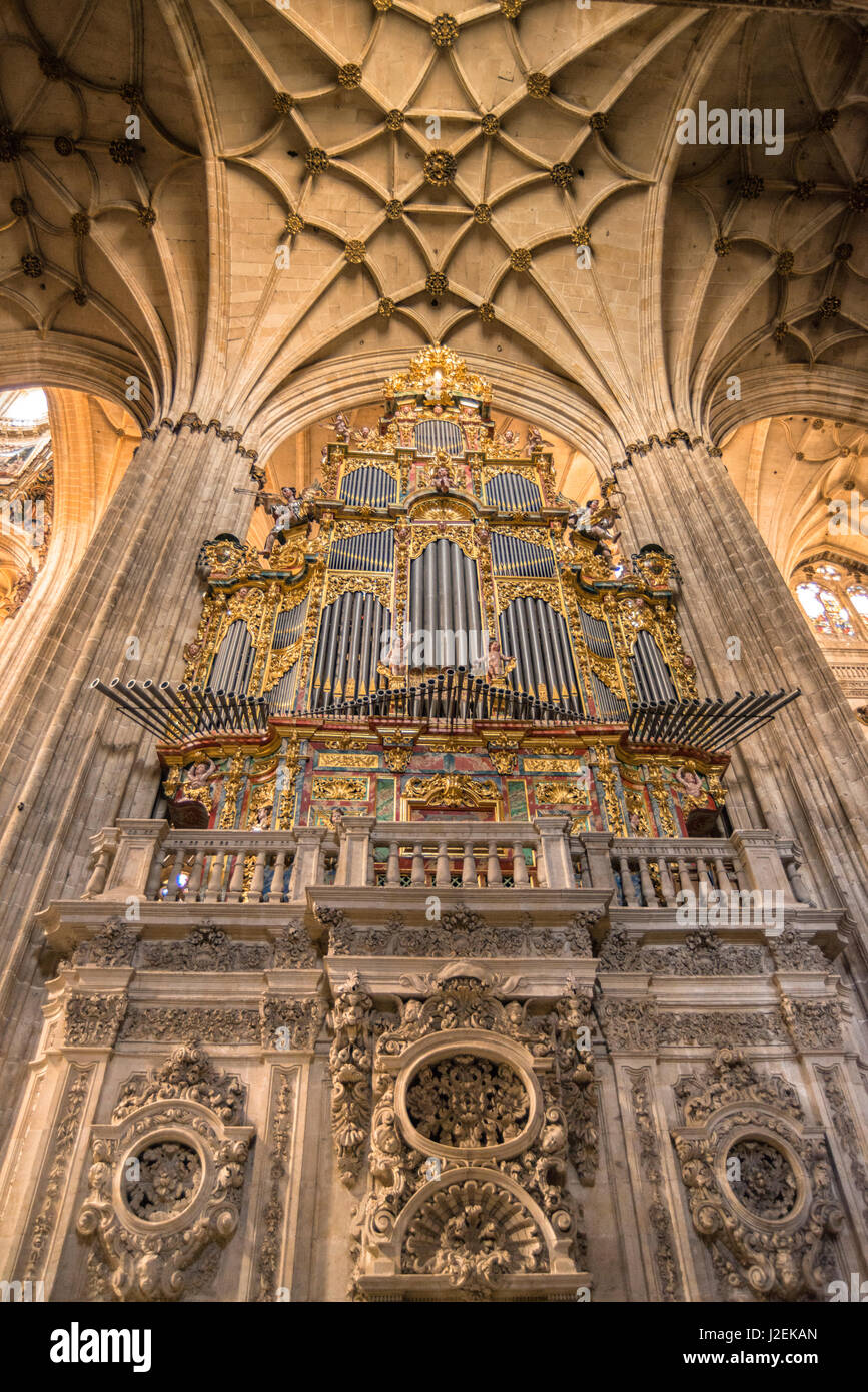 Spanien, Salamanca, Domorgel (großformatige Größen erhältlich) Stockfoto