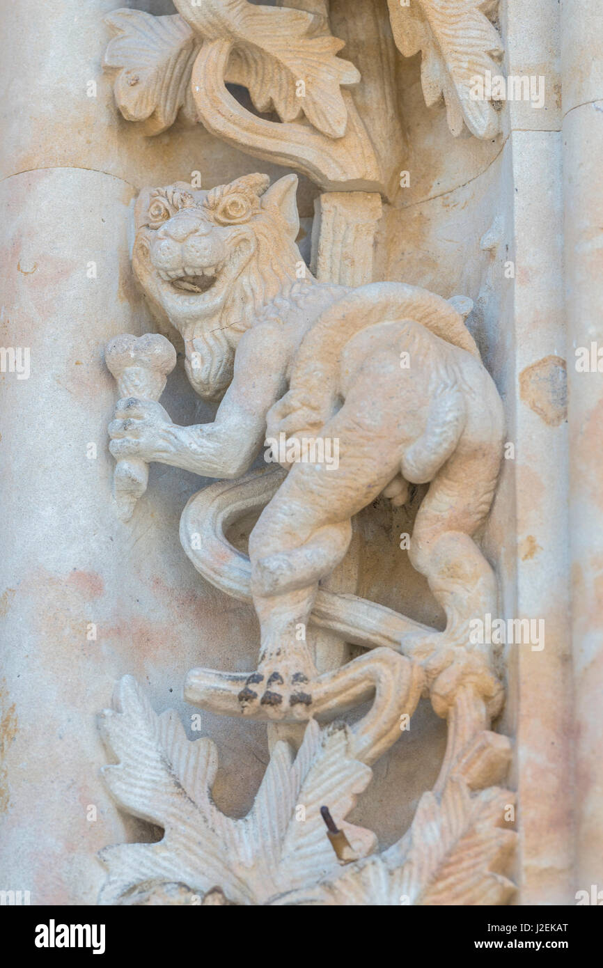 Spanien, Salamanca, Kathedrale, Reliefskulptur des Tieres mit Eistüte auf neuen portal Stockfoto