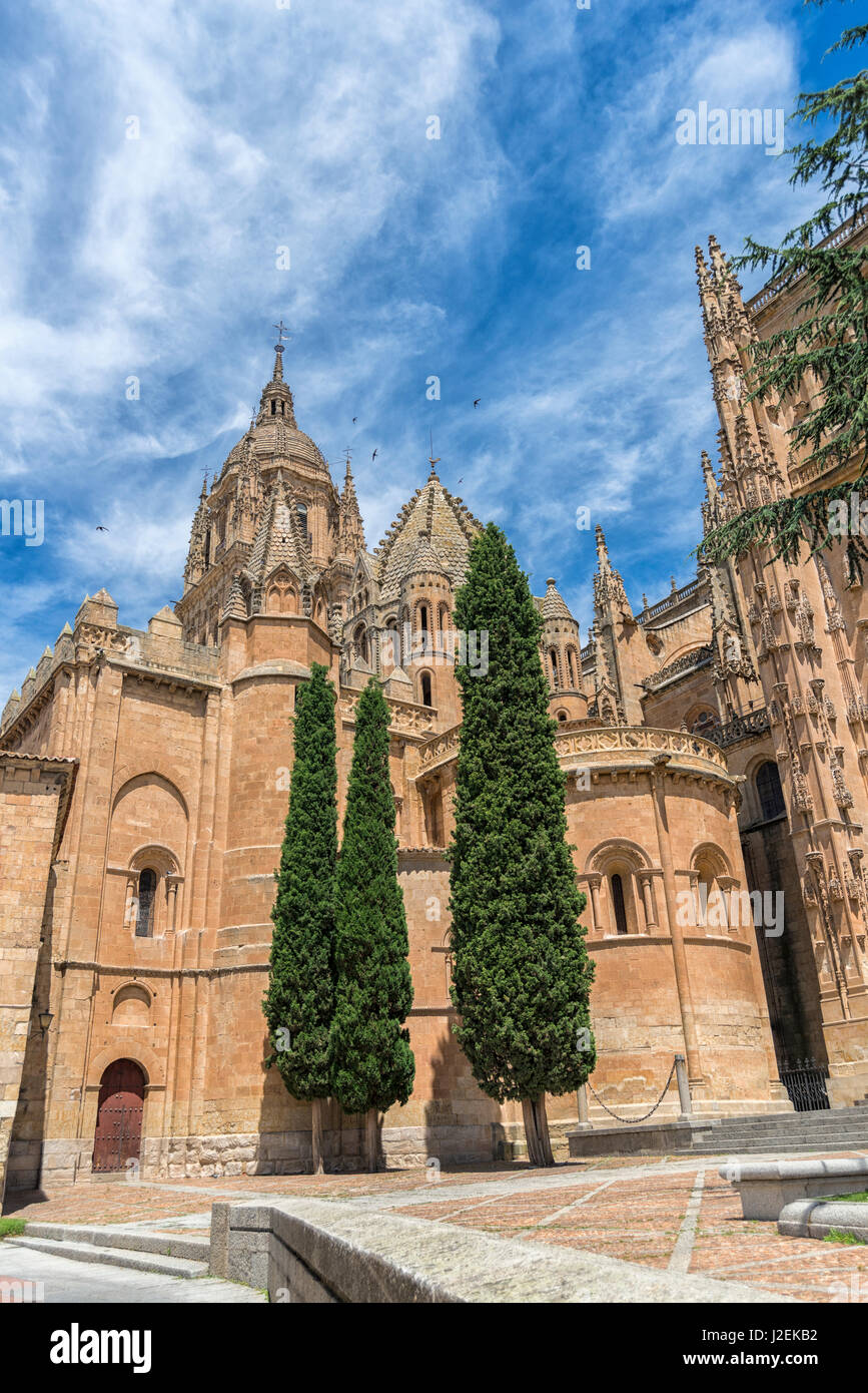 Spanien, Salamanca, Dom außen (großformatige Größen erhältlich) Stockfoto