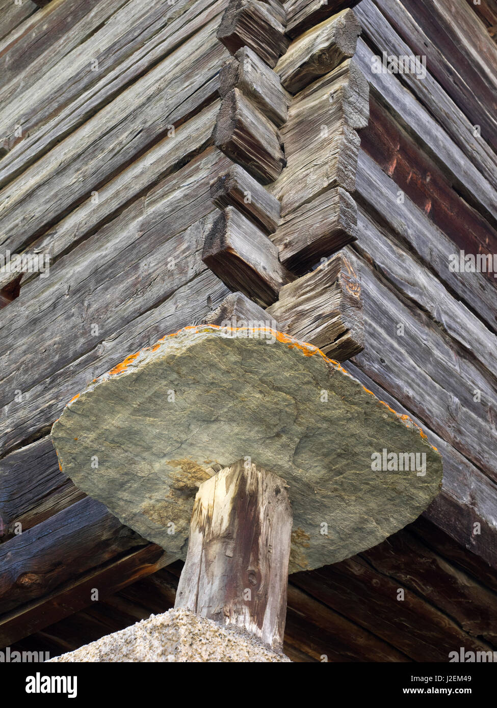 Schweiz, Zermatt, Old Town (Hinterdorf), älteste Teil des Dorfes, Stiftung Unterstützung Detail hält Mäuse Stockfoto