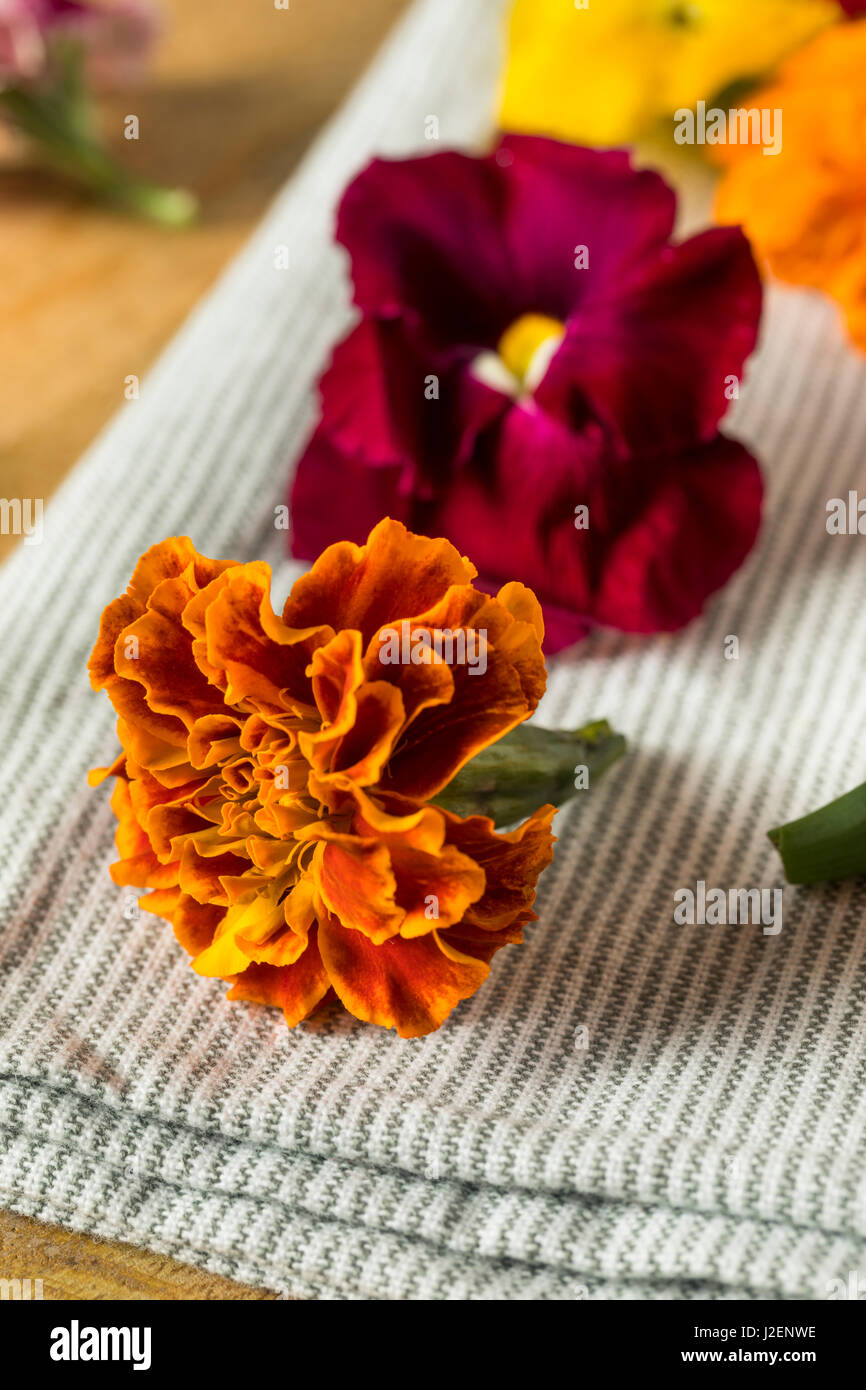 Rohe organische essbare Blumen verzehrfertige Stockfoto