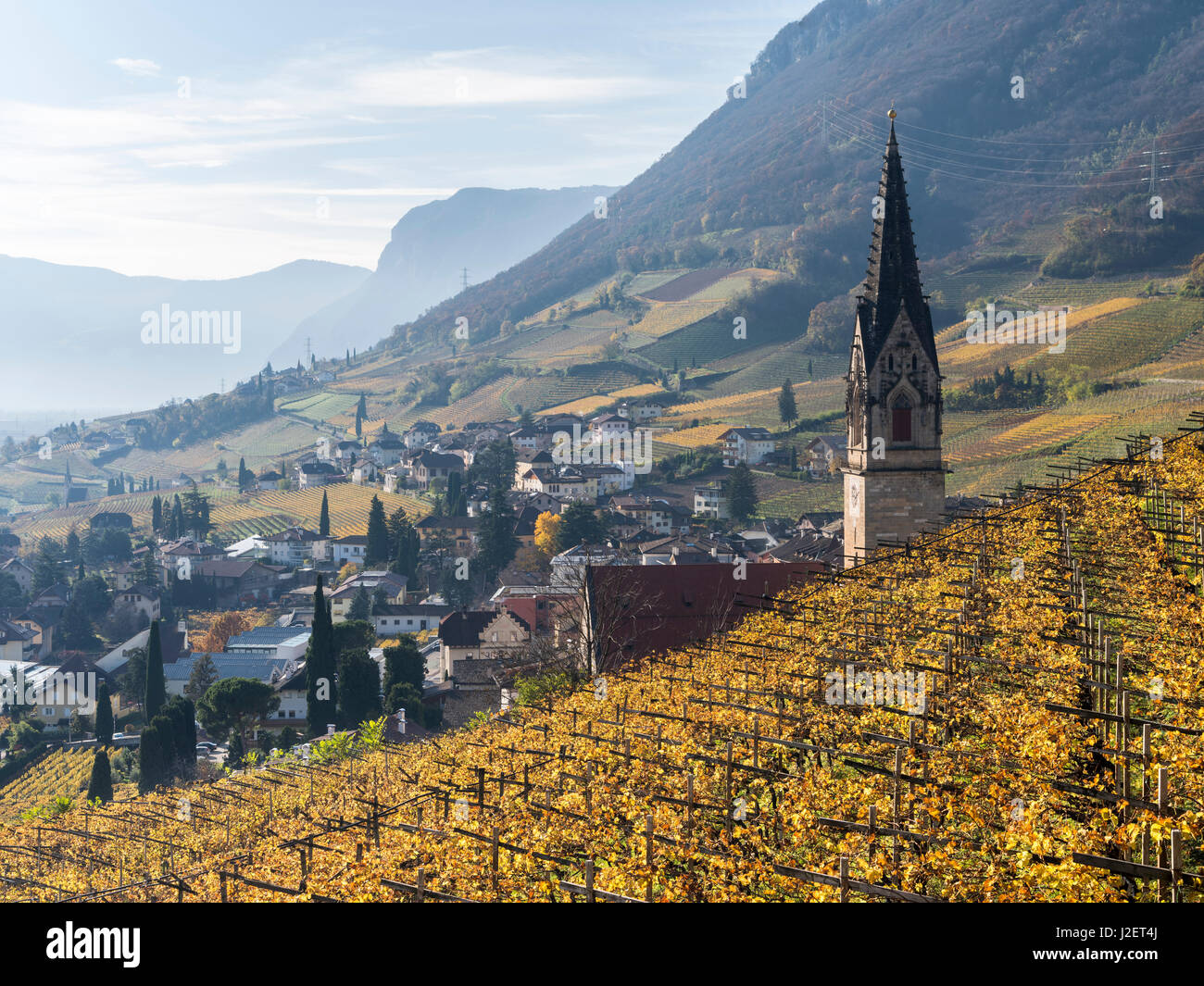 Blick Richtung Tramin (Tramin) mit Weinbergen und das Tal des Flusses Etsch in Richtung Salurn. Mitteleuropa, Südtirol, Italien (großformatige Größen erhältlich) Stockfoto