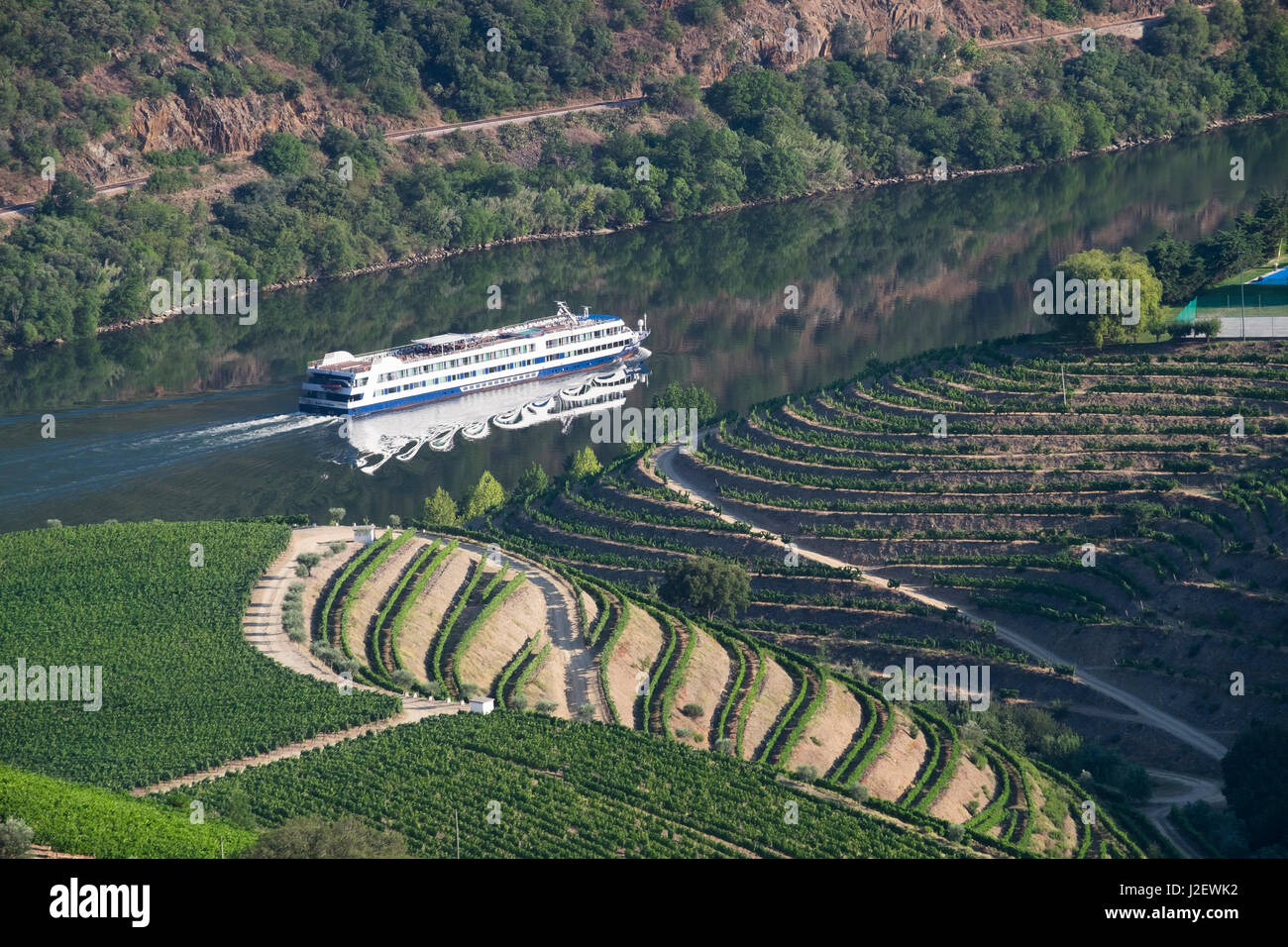 Portugal, Douro-Tal, Fluss Douro, Porto. Tal ist gesäumt von steil abfallenden Hügeln, Weinbergen und der Region und ihren Wein hat seit römischer Zeit verbunden. UNESCO-Weltkulturerbe. Stockfoto