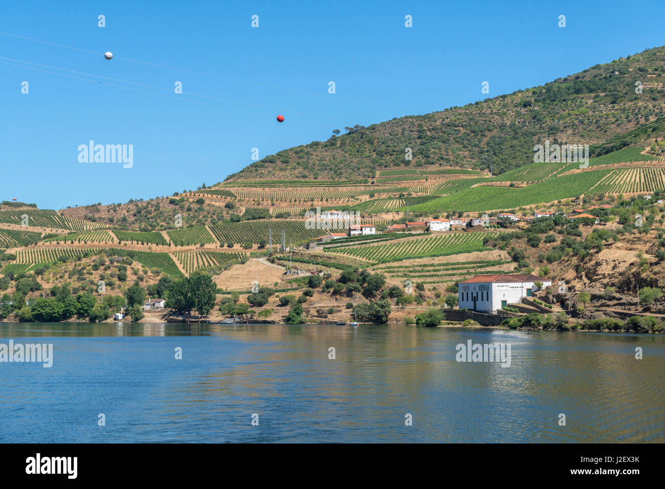 Portugal, Lavandeira, Porto Messias Weinberge entlang der Douro-Fluss (großformatige Größen erhältlich) Stockfoto