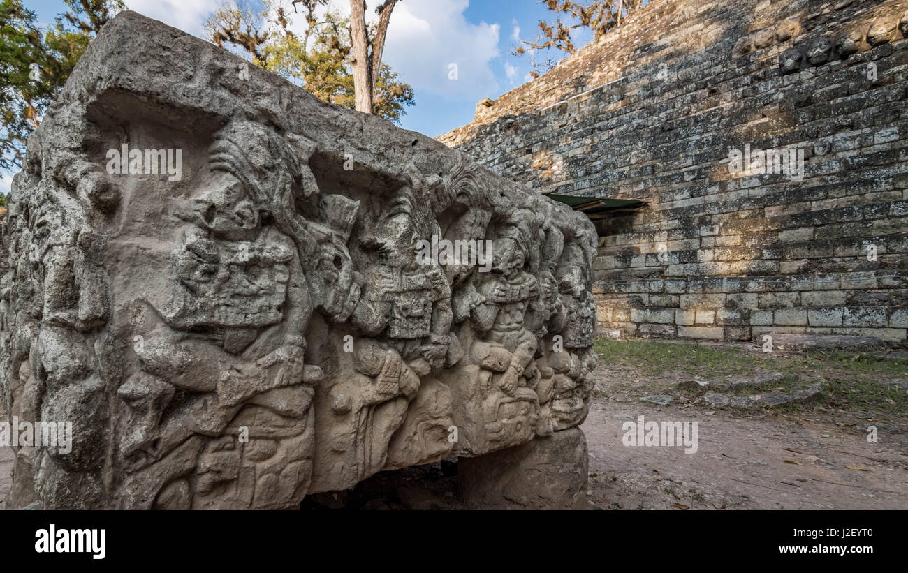 Altar Q befindet sich vor Tempel 16 in der Akropolis und beinhaltet Schnitzereien der Darstellungen und Namen der 16 dynastischen Herrscher von Copán. Stockfoto