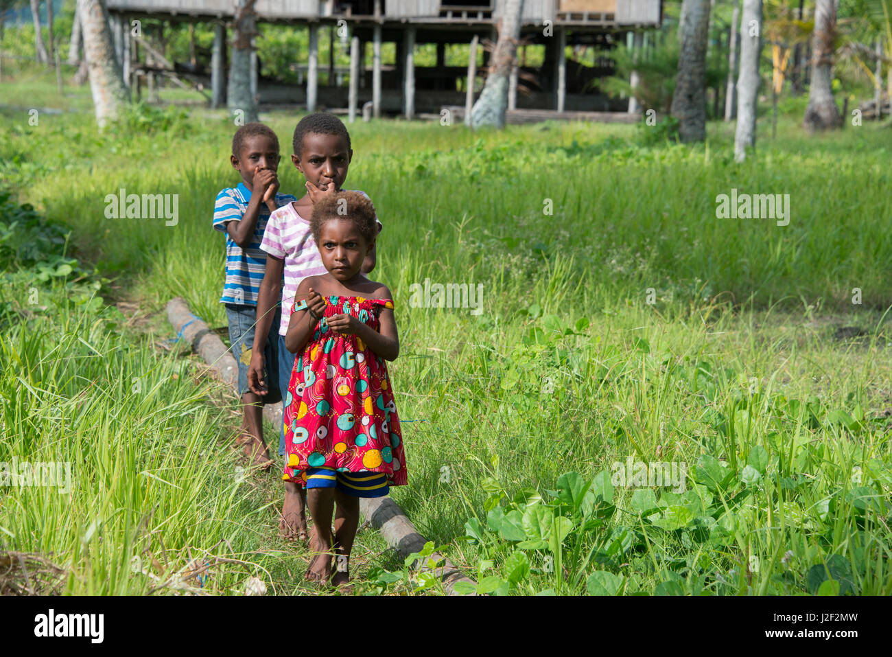 Melanesien, Papua-Neuguinea, Sepik Fluss, murik Seen, karau Dorf. Dorf mit typischen Gestelzt aus Holz und Stroh Haus in der Ferne. (Large Format Größen verfügbar) Stockfoto