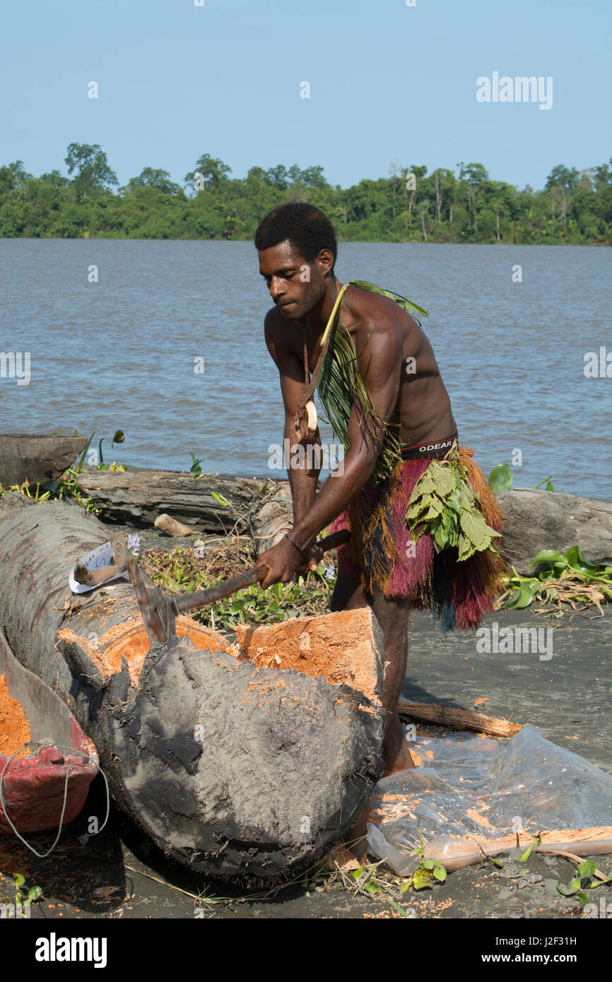 Melanesien, Papua-Neu-Guinea, Sepik River Gebiet, Dorf von Kopar. Lokale Mann entlang des Flussufers Sagopalme Holzhacken zu Brei zu stärkehaltige Nahrungsmittel verarbeitet werden. Stockfoto