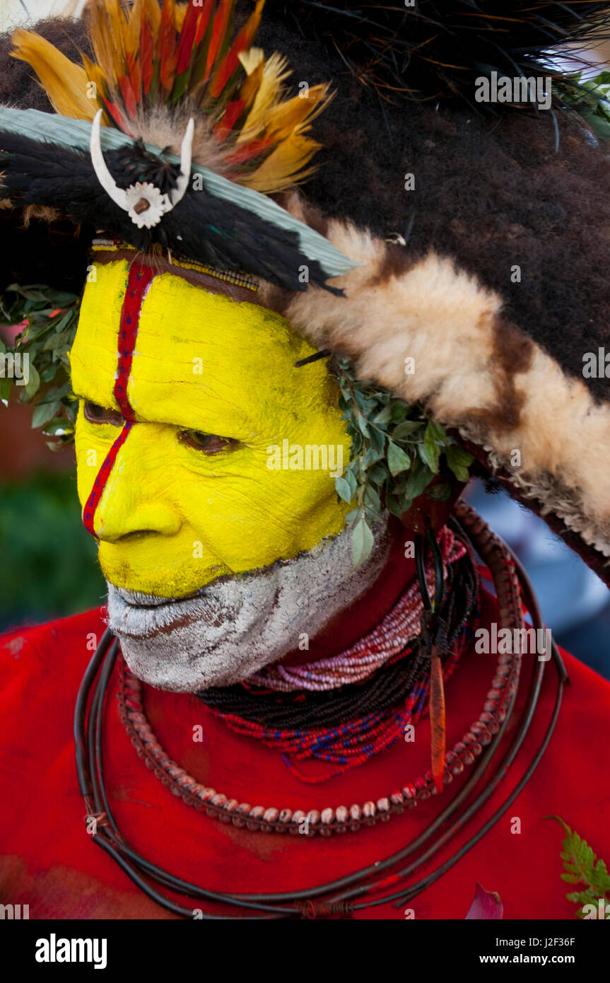 Bunte Kleidung und Gesicht gemalt lokalen Stämme feiert die traditionelle Sing Sing in Enga im Hochland von Papua Neuguinea, Melanesien Stockfoto