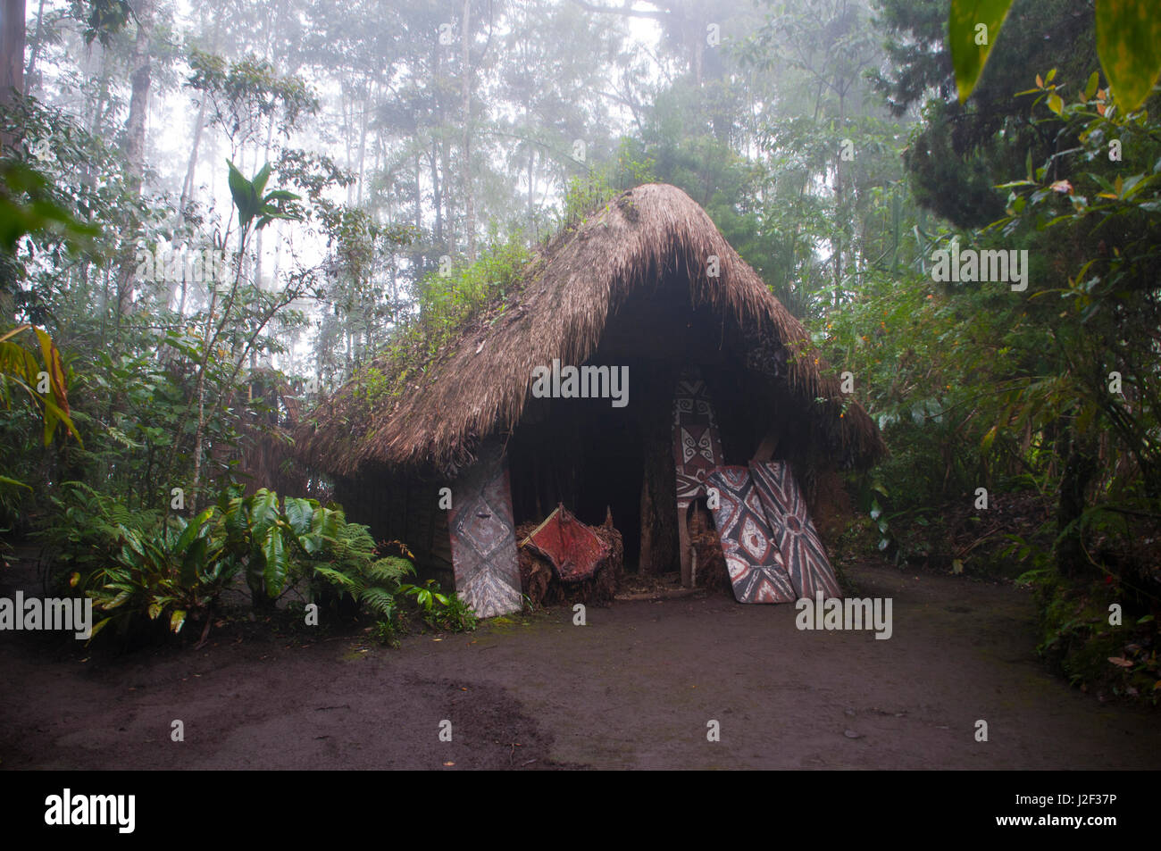 Stammes-Hütte im nebligen Hochland von Papua-Neu-Guinea Stockfoto