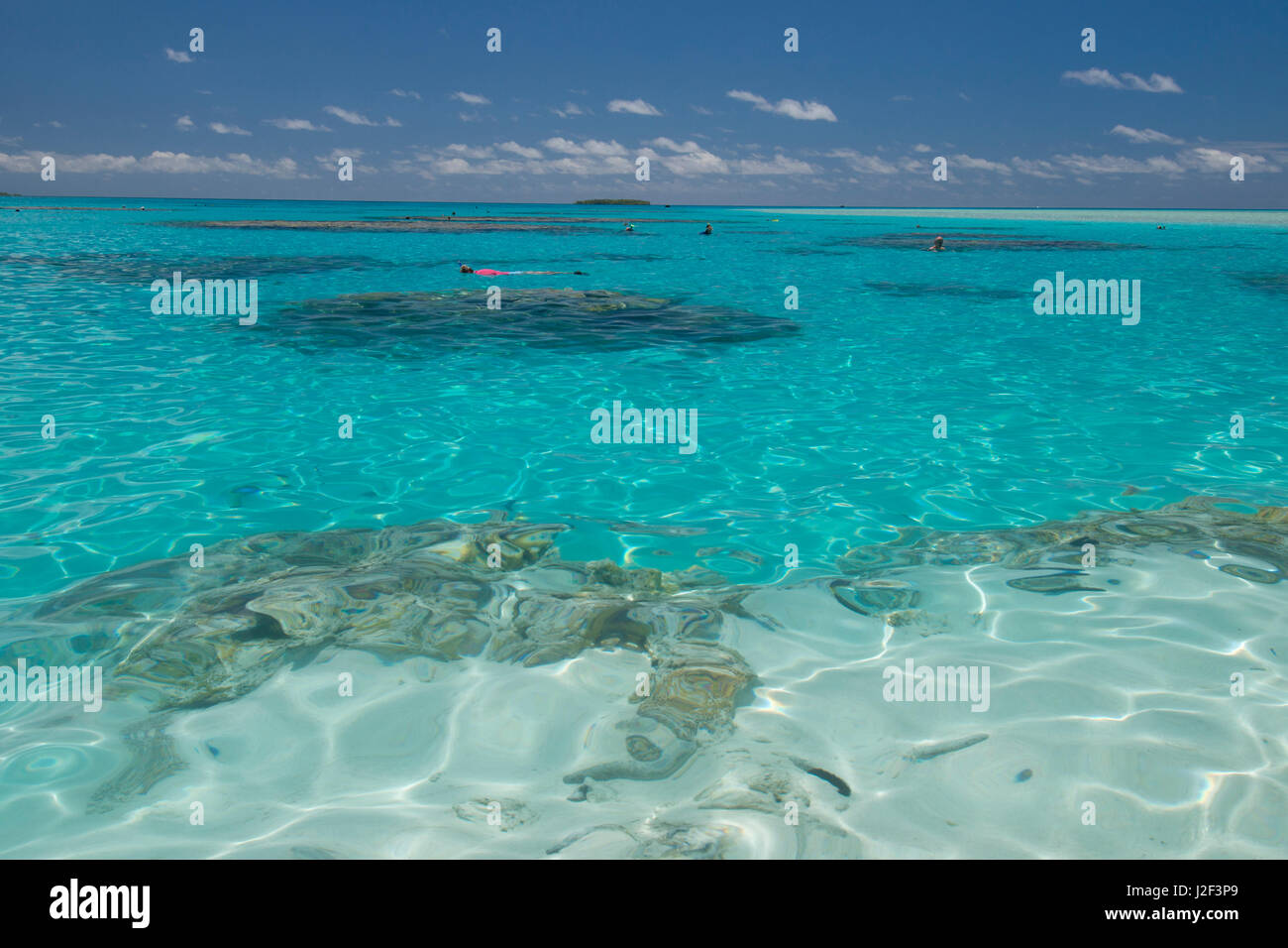 Cook-Inseln. Palmerston Island, einem klassischen Atoll von Captain Cook im Jahre 1774 entdeckt. Aktuelle Bevölkerung von 62 Menschen alle Nachkommen von William Marsters (aka Meister). Schnorcheln in klaren seichten Lagune mit Korallen. Stockfoto